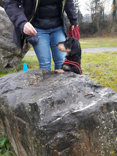 Hundeverhaltensberatung Susanne Gemperli - Arbon