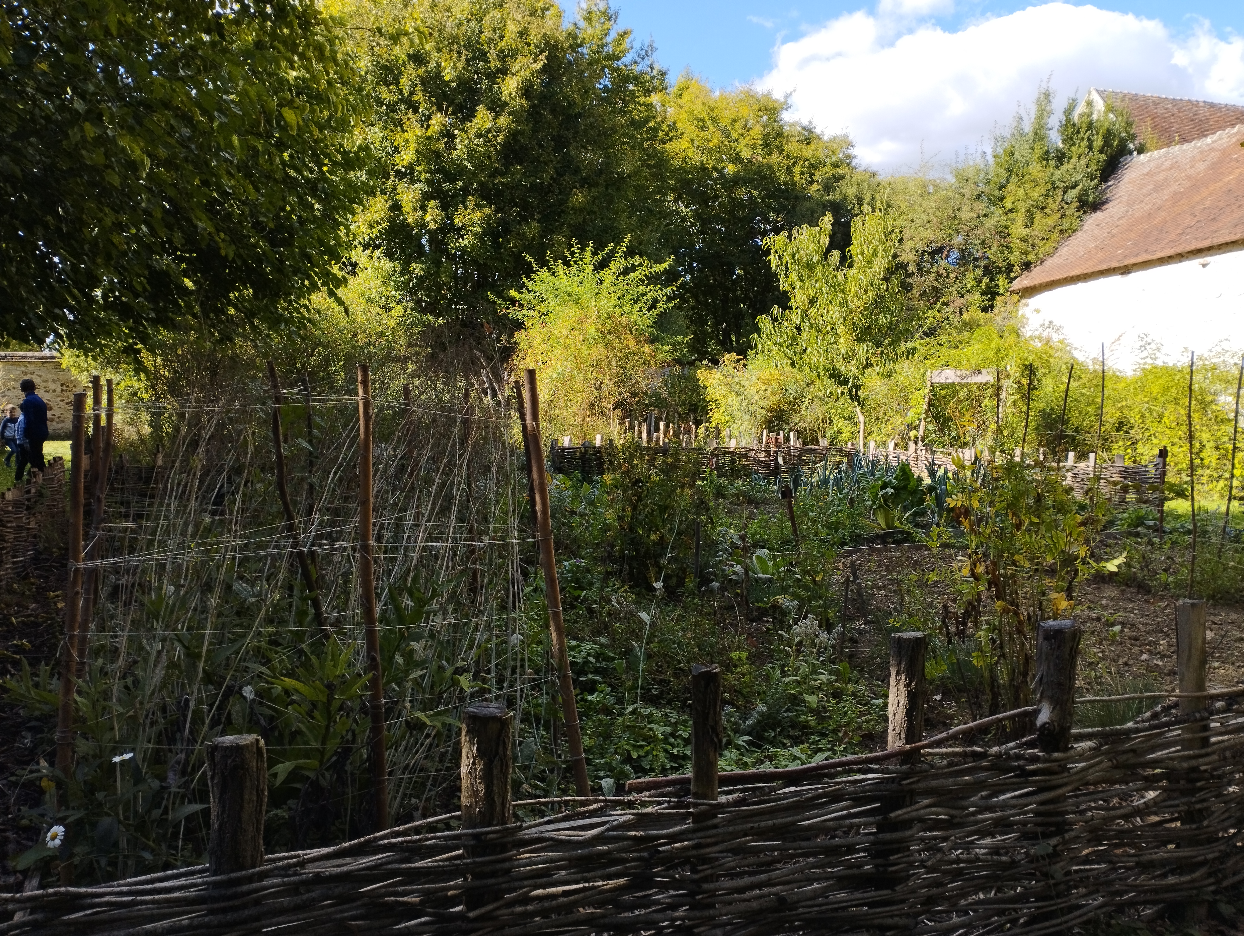 Photo n° 16 de l'avis de veronique.S fait le 27/09/2022 à 16:54