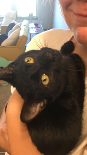 Pet Supply Store «Petco Animal Supplies», reviews and photos, 12163 Sheridan Blvd, Broomfield, CO 80020, USA