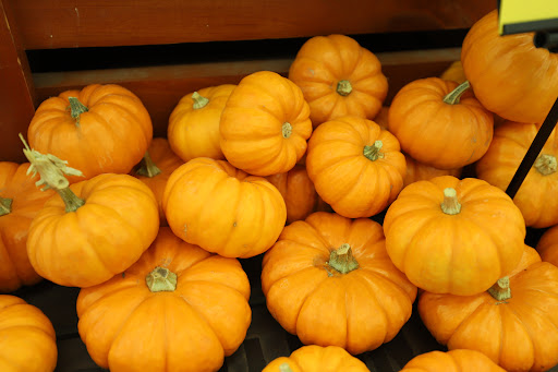 Grocery Store «Food Lion», reviews and photos, 5021 Trotwood Ave Ste 7, Columbia, TN 38401, USA