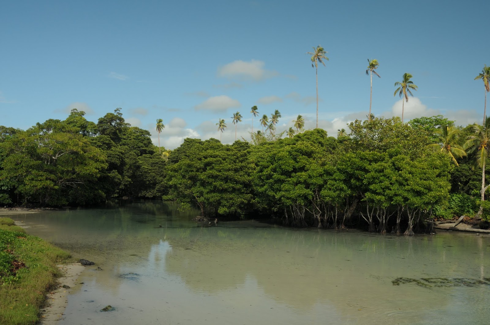 Foto di Asaga River Beach con molto pulita livello di pulizia