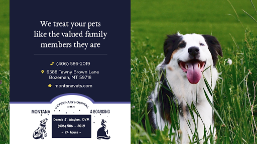 6588 Tawney Brown Ln, Bozeman, MT 59718, USA