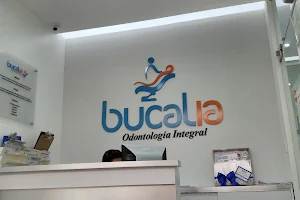 Bucalia, Odontología Integral image