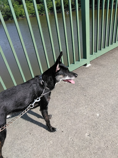 Campground «Winton Woods Campground», reviews and photos, 10245 Winton Rd, Cincinnati, OH 45231, USA