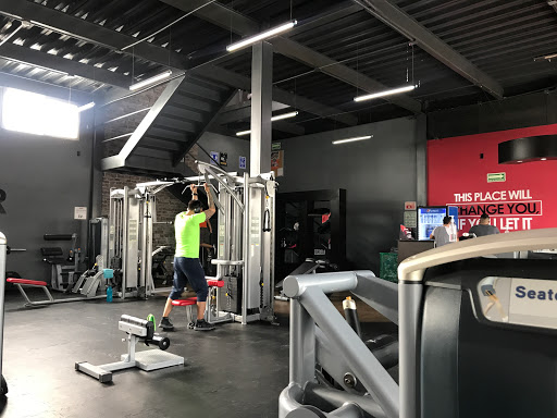 Gyms open 24 hours in Leon