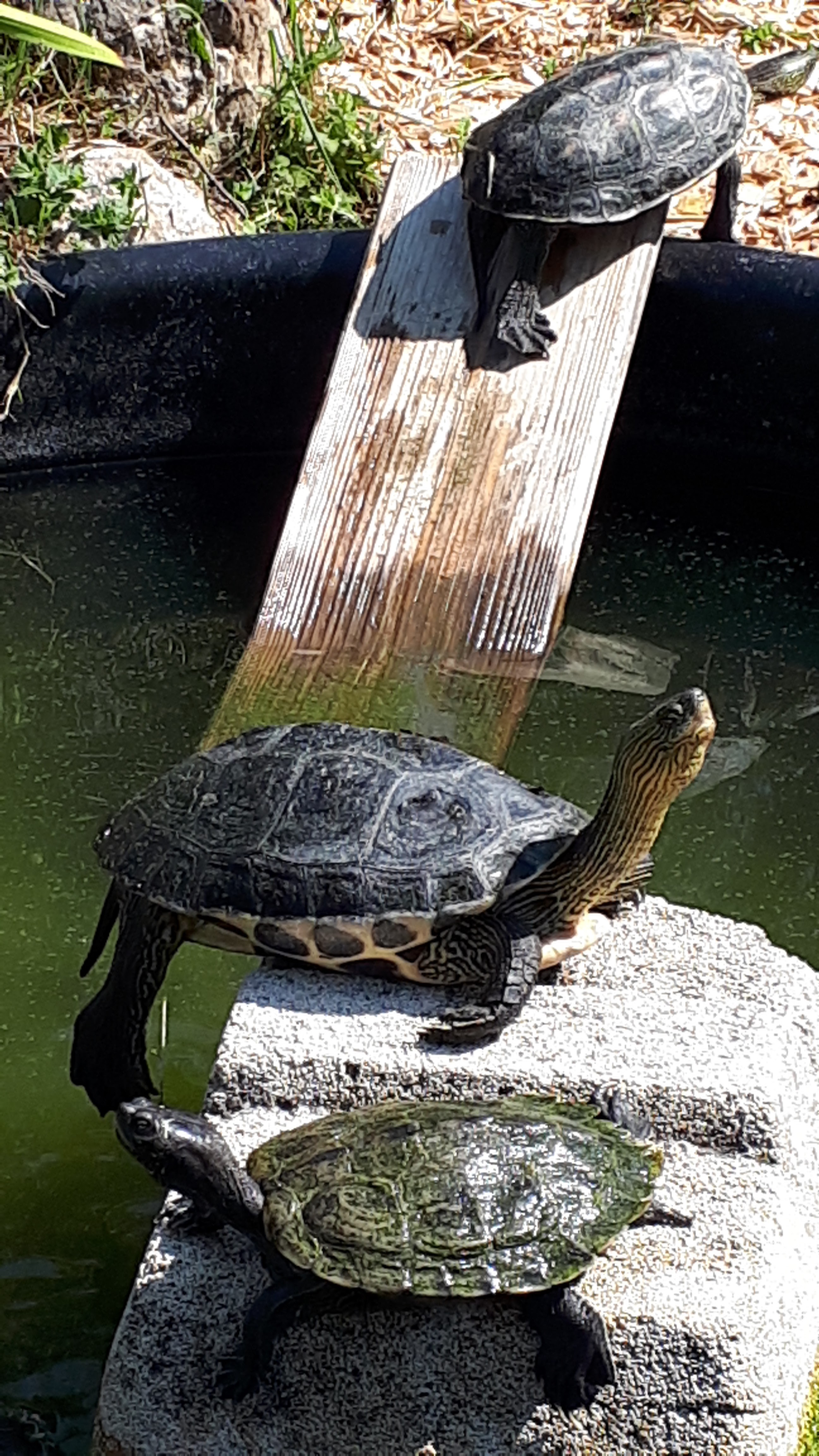 Photo n° 5 de l'avis de Sophie.P fait le 04/08/2019 à 12:50