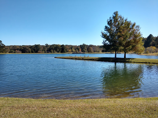Lamar Park