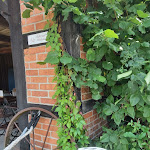 Photo n°1 de l'avis de Christian.a fait le 15/08/2021 à 16:20 sur le  HOFLIEBE Cafe & Schöne Dinge à Bleckede