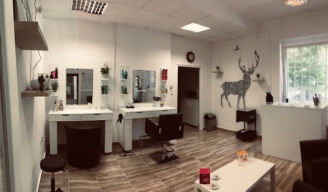 Értékelések erről a helyről: Deer Hair Salon, Debrecen - Fodrász