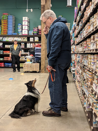 Pet Supply Store «Premier Pet Supply», reviews and photos, 15399 Merriman Rd, Livonia, MI 48154, USA