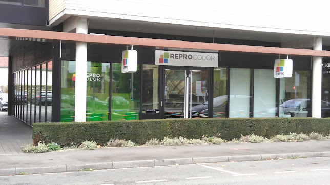 Opinii despre Reprocolor în Calais - Imprimeur
