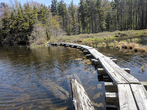 National Forest «Green Mountain and Finger Lakes National Forests», reviews and photos, 231 N Main St, Rutland, VT 05701, USA