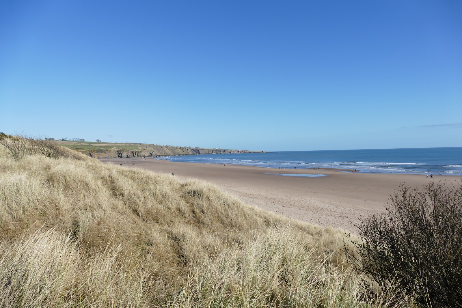 Photo of Lunan Bay Beach located in natural area