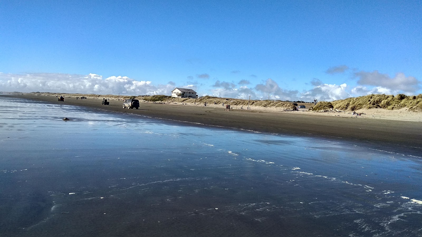 Foxton Beach photo #8