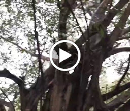 Loops & Coffee photo