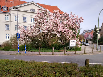 Hochschule Osnabrück - Institut für Musik