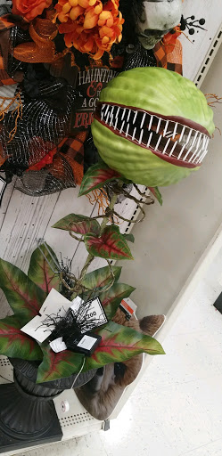 Craft Store «Michaels», reviews and photos, 475 Haggerty Rd, Commerce Charter Twp, MI 48390, USA