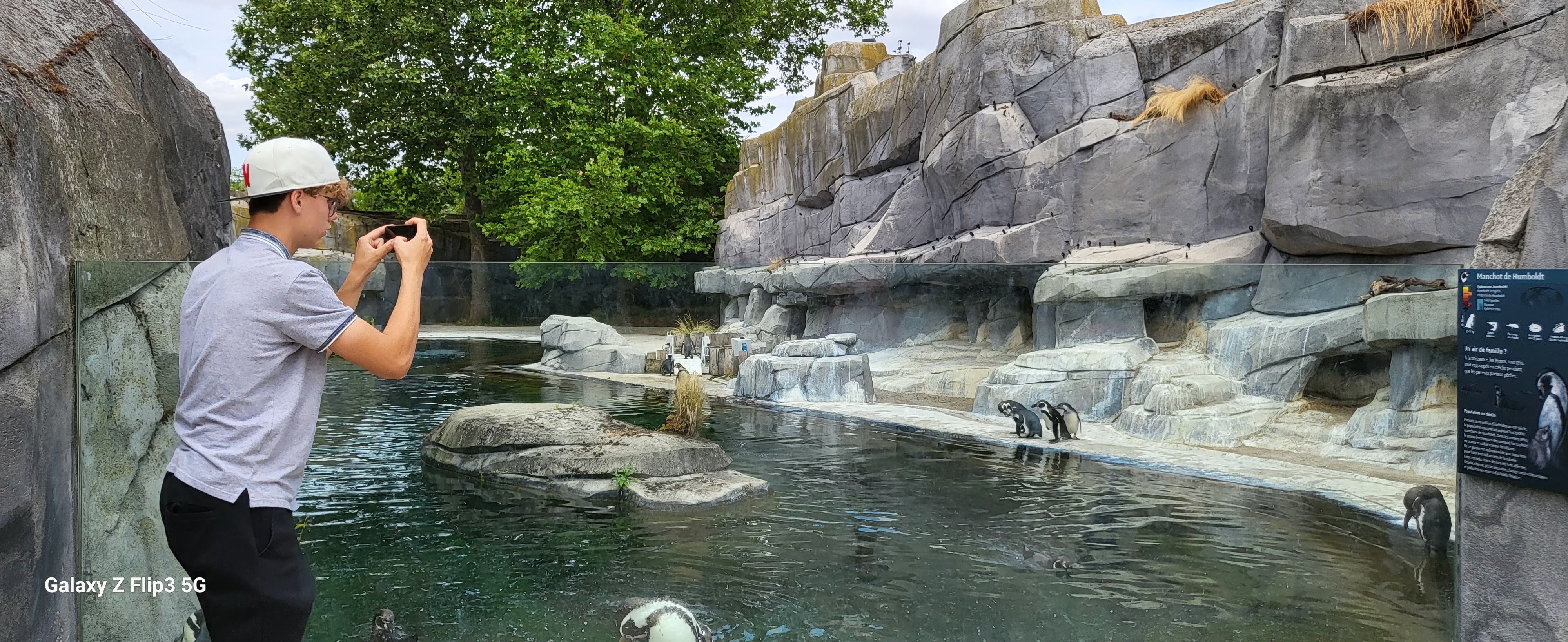 Photo n° 4 de l'avis de Zane.n fait le 04/07/2023 à 19:02