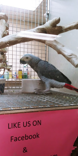 Pet Store «Pets World», reviews and photos, 147 Bridge St, Weymouth, MA 02191, USA