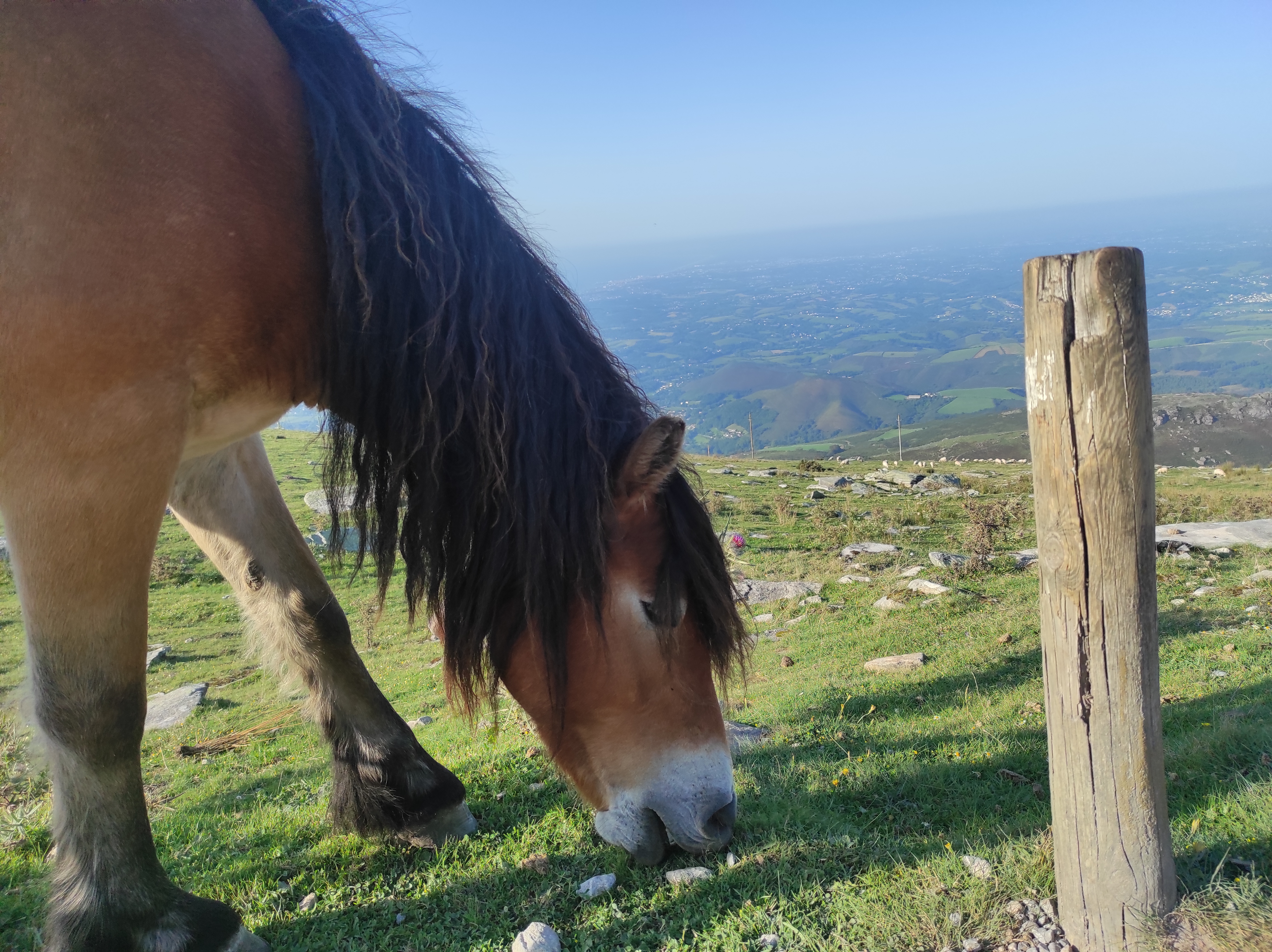 Photo n° 2 de l'avis de Maëva. fait le 29/08/2023 à 19:23