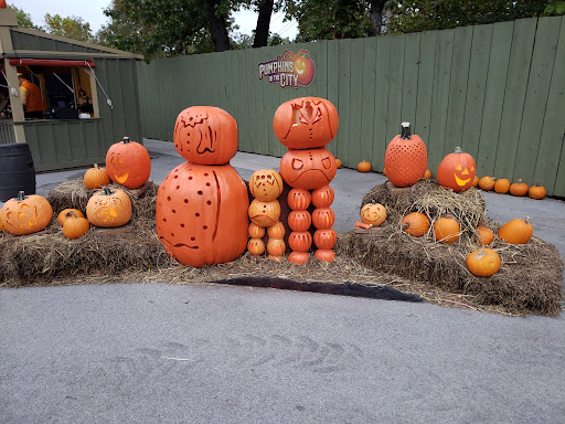 Theme Park «Silver Dollar City», reviews and photos, 399 Silver Dollar City Pkwy, Branson, MO 65616, USA