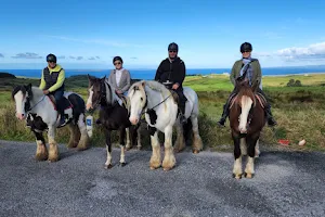 Mountain View Horse Riding Centre, Poulnagun, Co. Clare image