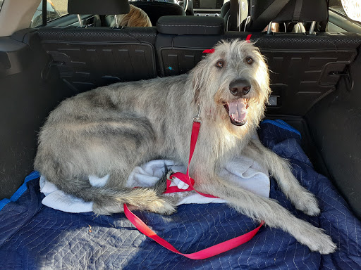 Pet Supply Store «Petco Animal Supplies», reviews and photos, 420 Harry L Dr #2, Johnson City, NY 13790, USA