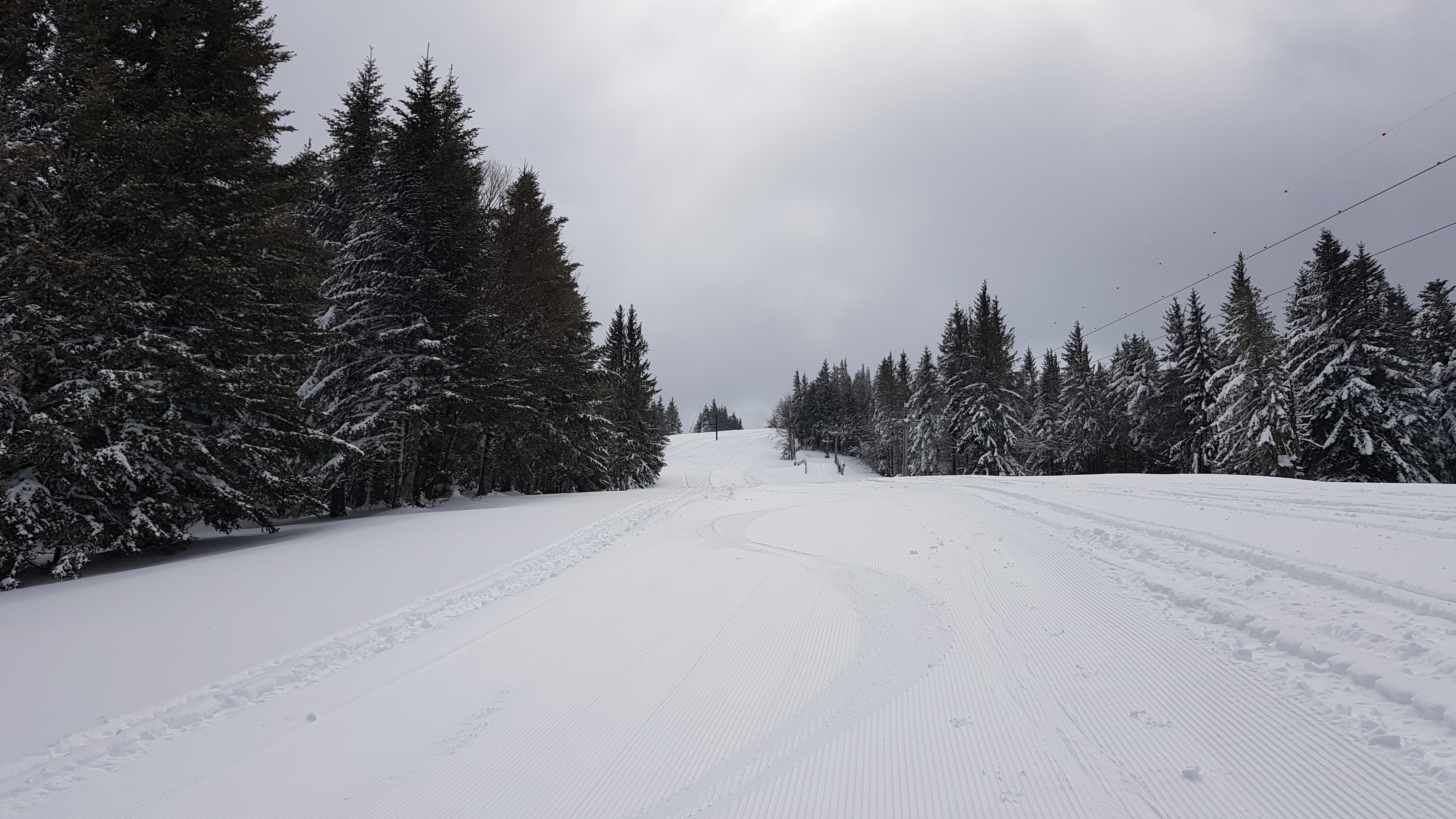 Photo n° 2 de l'avis de B..a fait le 18/03/2021 à 14:06