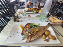 Bar du Restaurant français Petit Lézard à Palavas-les-Flots - n°2