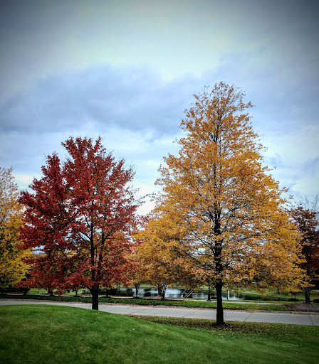 Golf Course «Copper Creek Golf Course», reviews and photos, 27925 Golf Pointe Blvd, Farmington Hills, MI 48331, USA