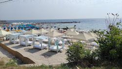 Plyazh Chayka'in fotoğrafı ve yerleşim