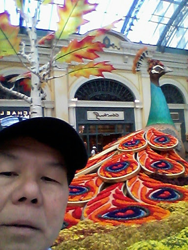 Office Supply Store «Office Depot», reviews and photos, 1200 W Valley Blvd, Alhambra, CA 91803, USA