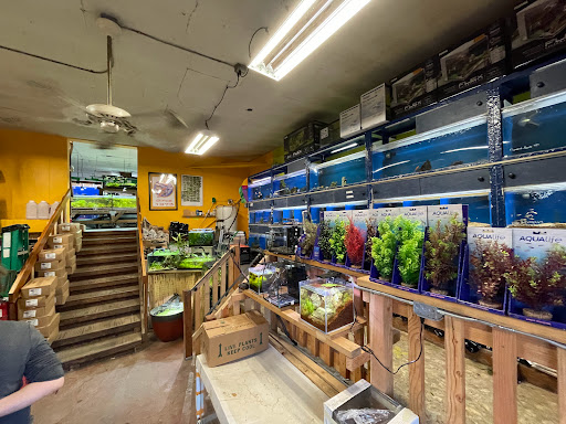 Tropical Fish Store «Albany Aquarium», reviews and photos, 818 San Pablo Ave, Albany, CA 94706, USA