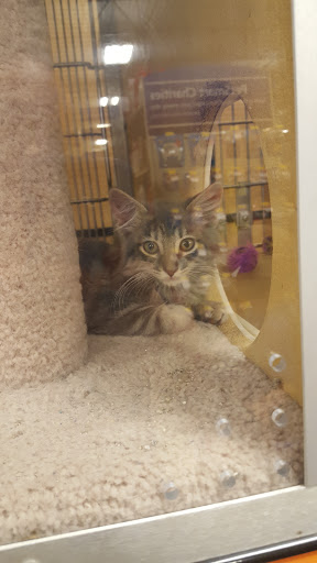 Pet Supply Store «PetSmart», reviews and photos, 1621 E Monte Vista Ave b, Vacaville, CA 95688, USA