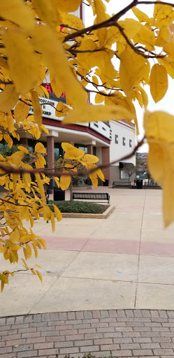 Movie Theater «Goodrich Wabash Landing 9», reviews and photos, 300 E State St, West Lafayette, IN 47906, USA