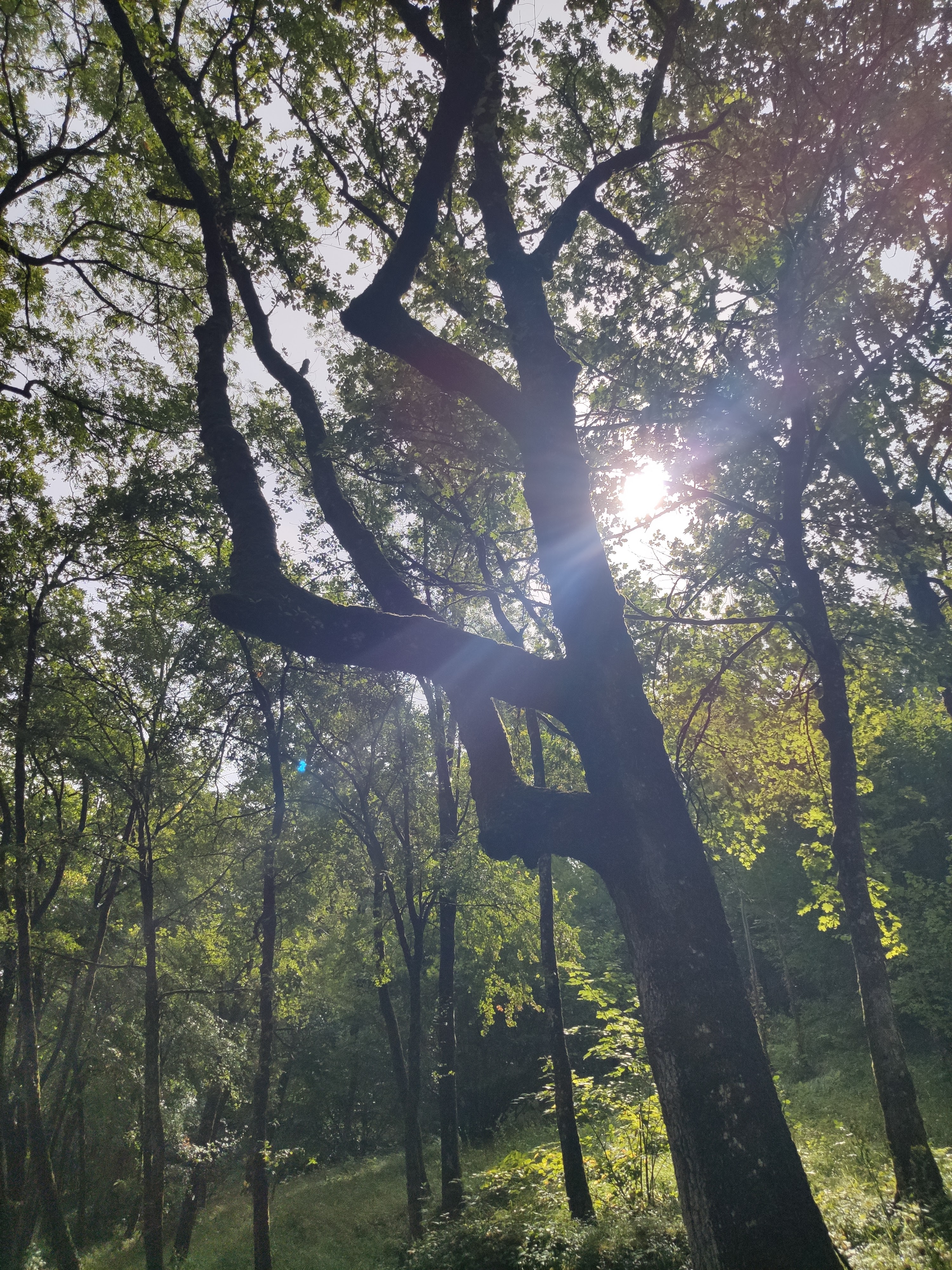Photo n° 2 de l'avis de Nicolas.a fait le 16/08/2023 à 12:12