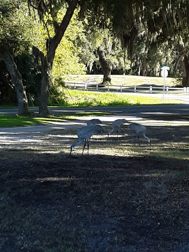 Golf Club «Mayfair Country Club», reviews and photos, 3536 Country Club Rd, Sanford, FL 32773, USA