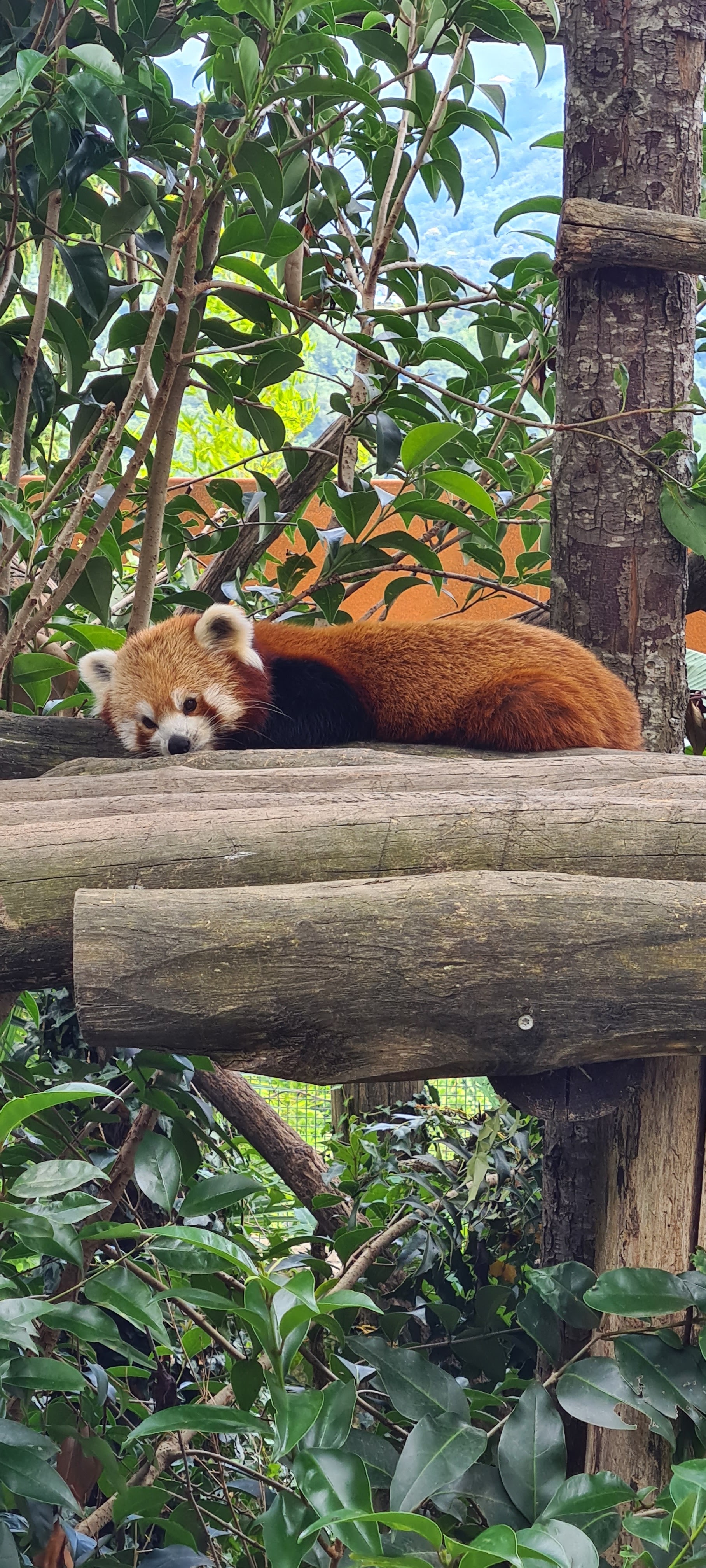 Photo n° 1 de l'avis de Audrey.. fait le 10/07/2021 à 21:37
