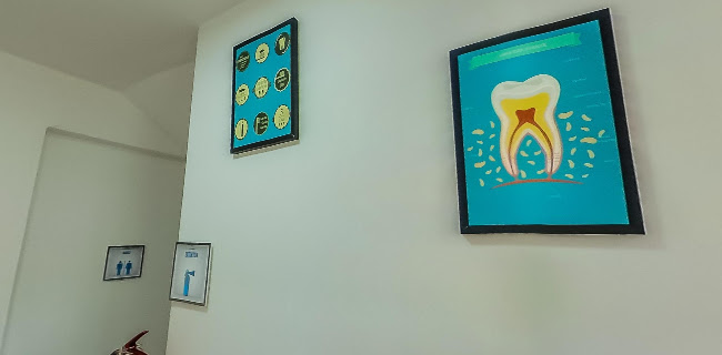 Orthodontics Centro Dental