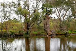 Masons Landing Park image