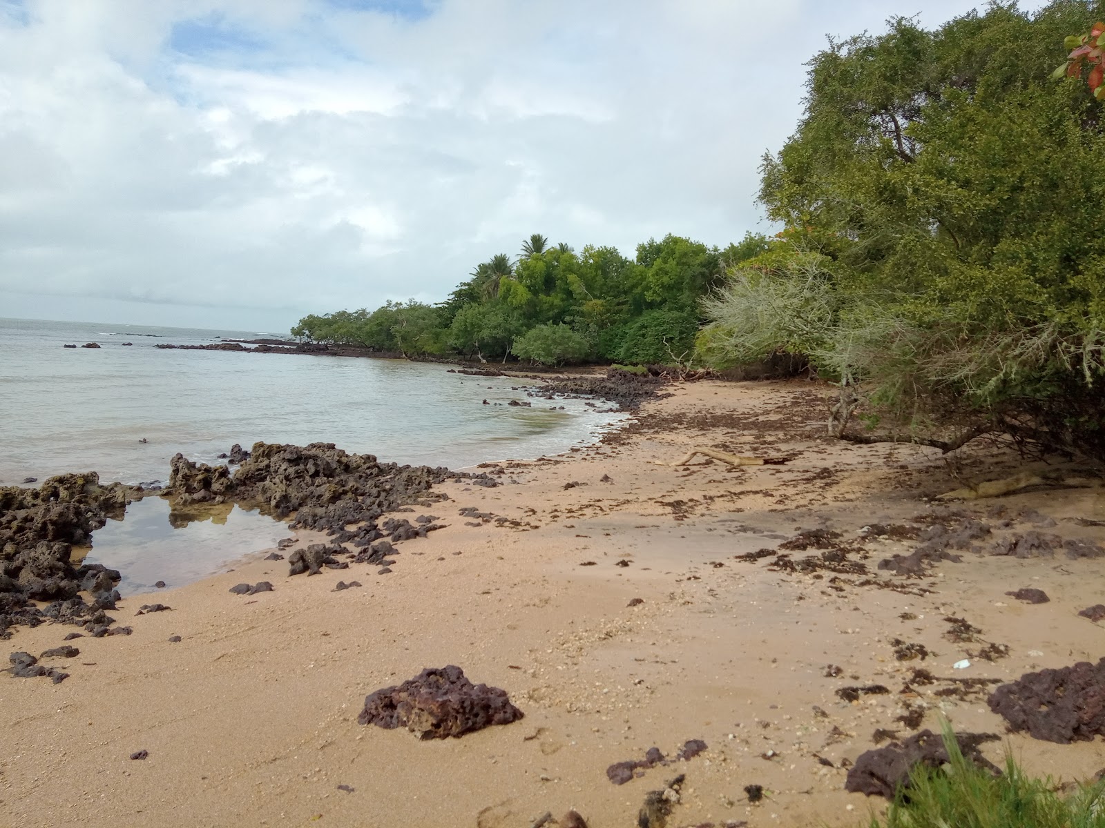 Photo de Plage de Maracapeba avec sable lumineux de surface