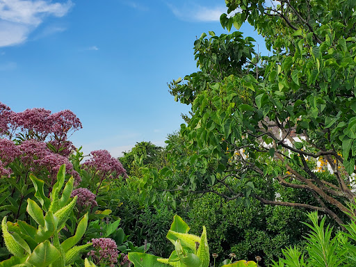 Nature Preserve «Meigs Point Nature Center», reviews and photos, 1288 Boston Post Rd, Madison, CT 06443, USA