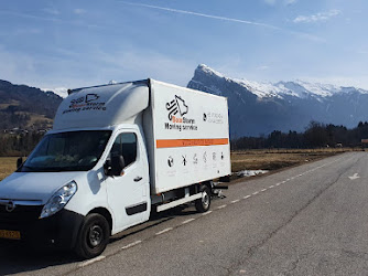 BearStorm Moving Service