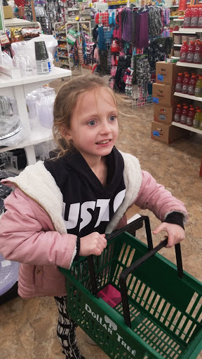 Dollar Store «Dollar Tree», reviews and photos, 457 S Oxford Valley Rd, Fairless Hills, PA 19030, USA