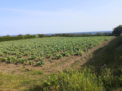 Nexans Landfall France à Cléder
