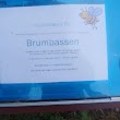 Brumbassen