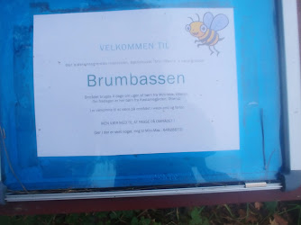 Brumbassen