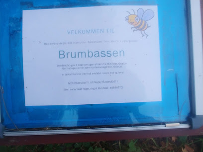 Brumbassen