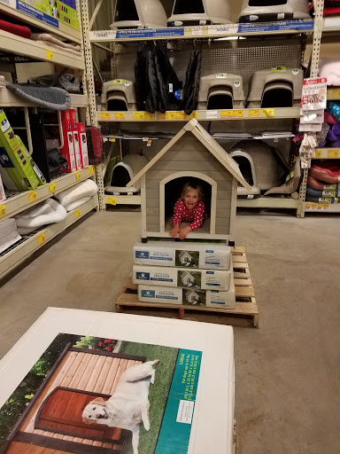 Pet Supply Store «PetSmart», reviews and photos, 475 Bank St, Waterbury, CT 06708, USA