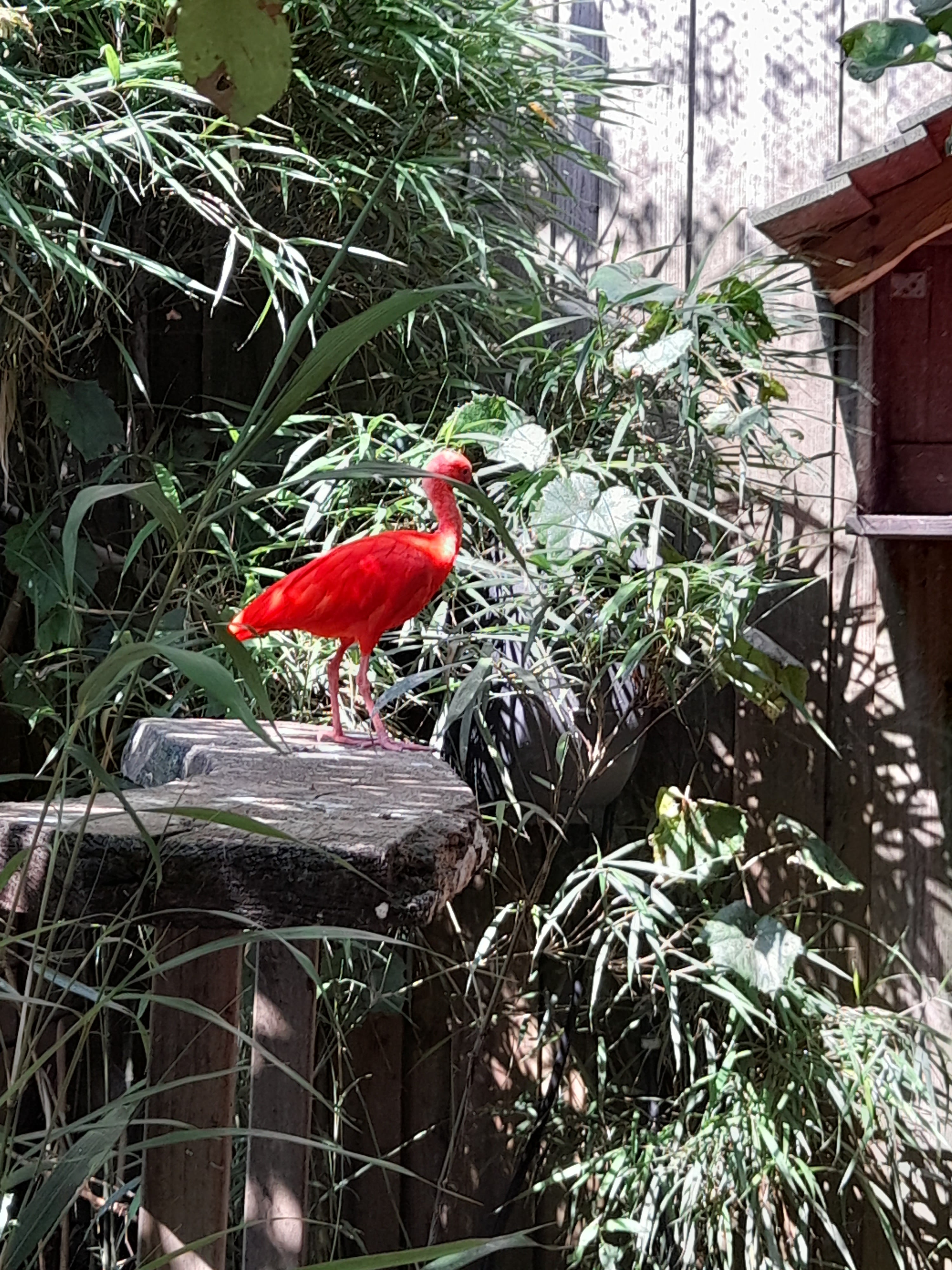Photo n° 5 de l'avis de Juliette.a fait le 25/08/2021 à 15:22